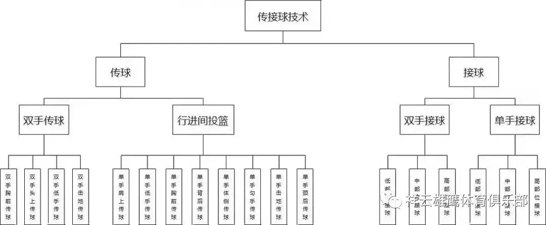 如何在篮球冬令营中加强体能训练?_2