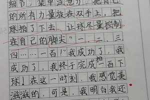 篮球基本功训练对学生评价怎么写